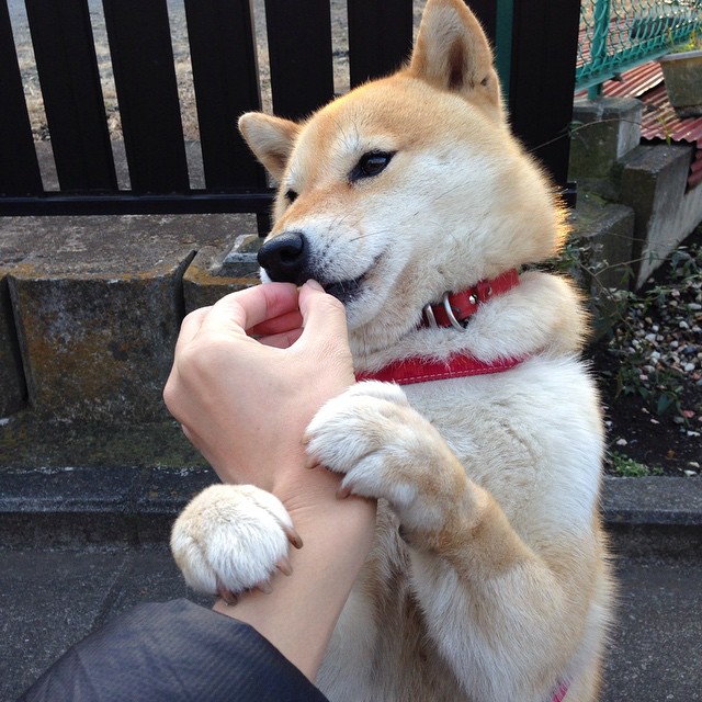 开云·体育官网APP下载-史诗级对决：历史经典战役的精彩还原，一场史诗级的对决